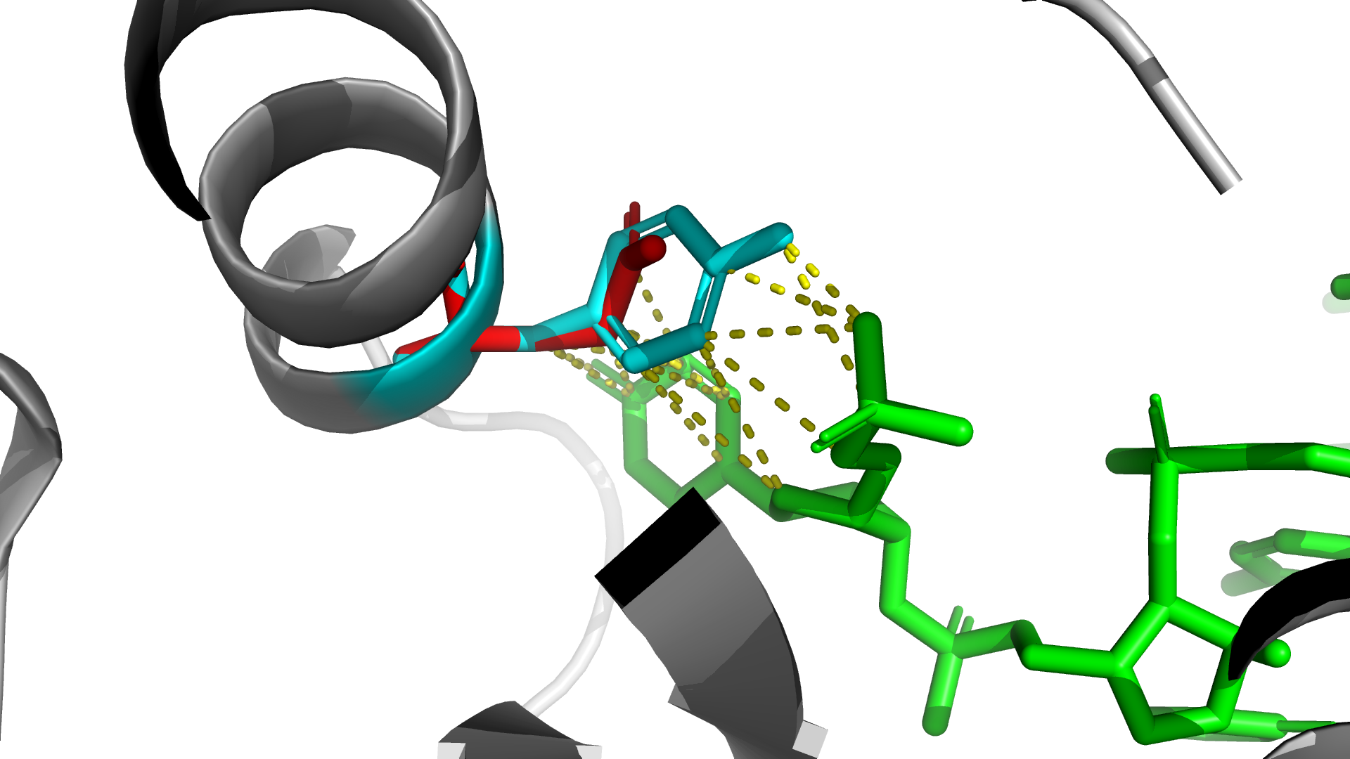 AGO2 protein mutation destroying binding pocket